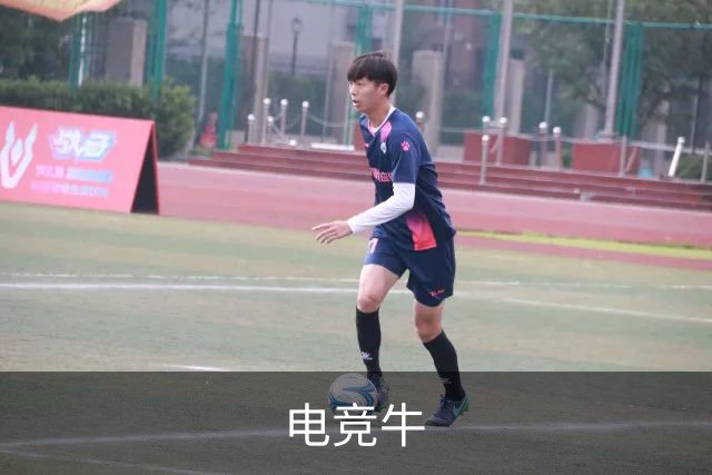 电竞牛公司介绍